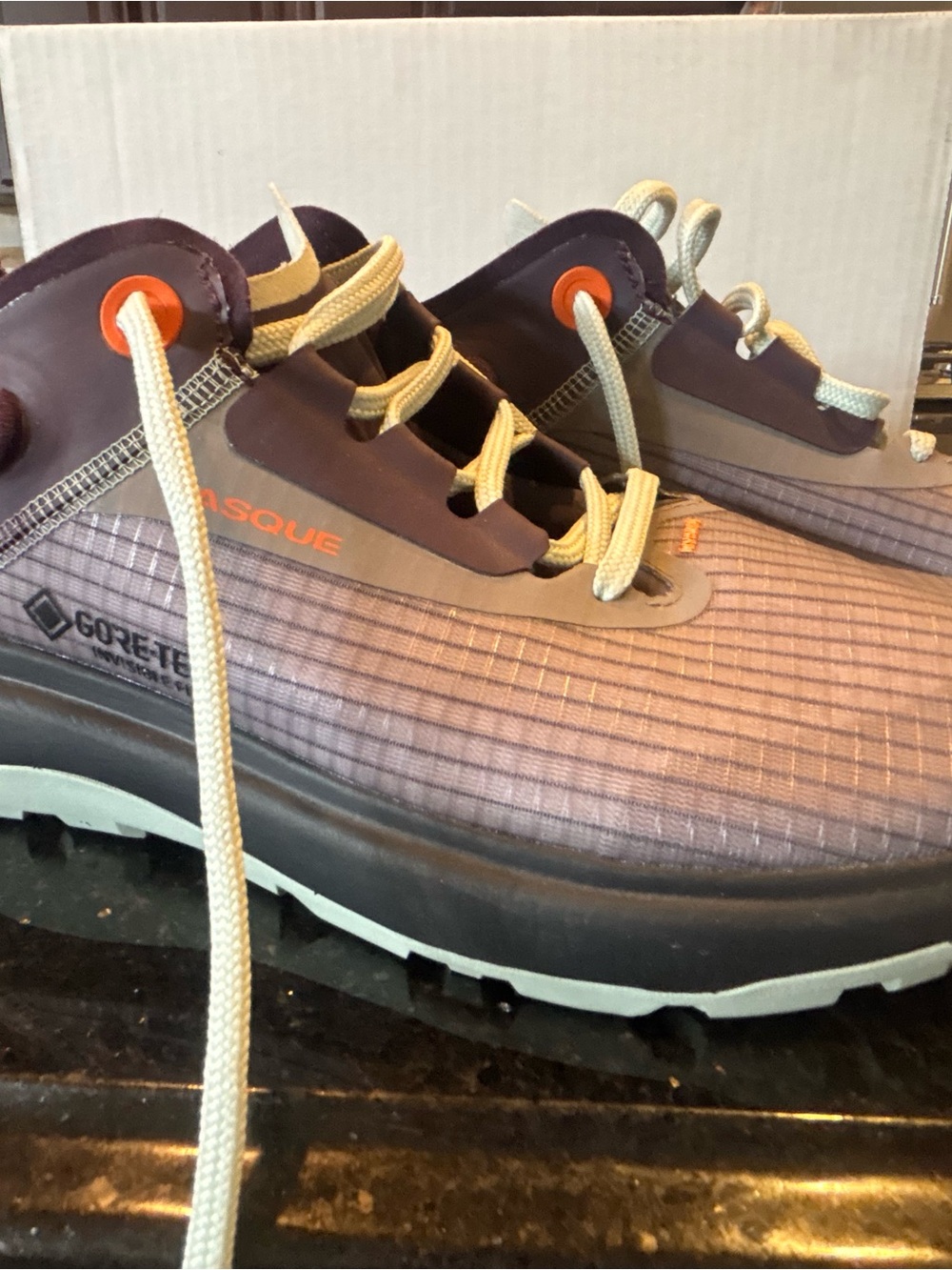 Vasque Men's Purple and Tan Gore-Tex Trail Shoes